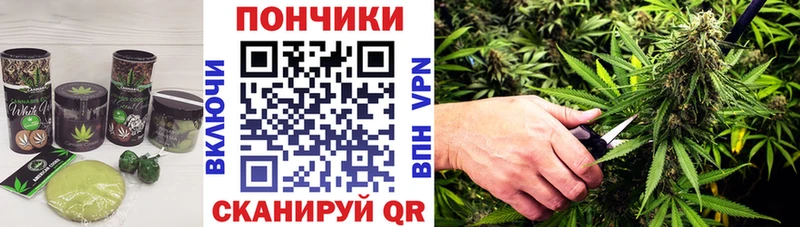 MEGA зеркало  Черняховск  Cannafood марихуана  магазин  наркотиков 