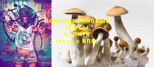 соль ск Балабаново