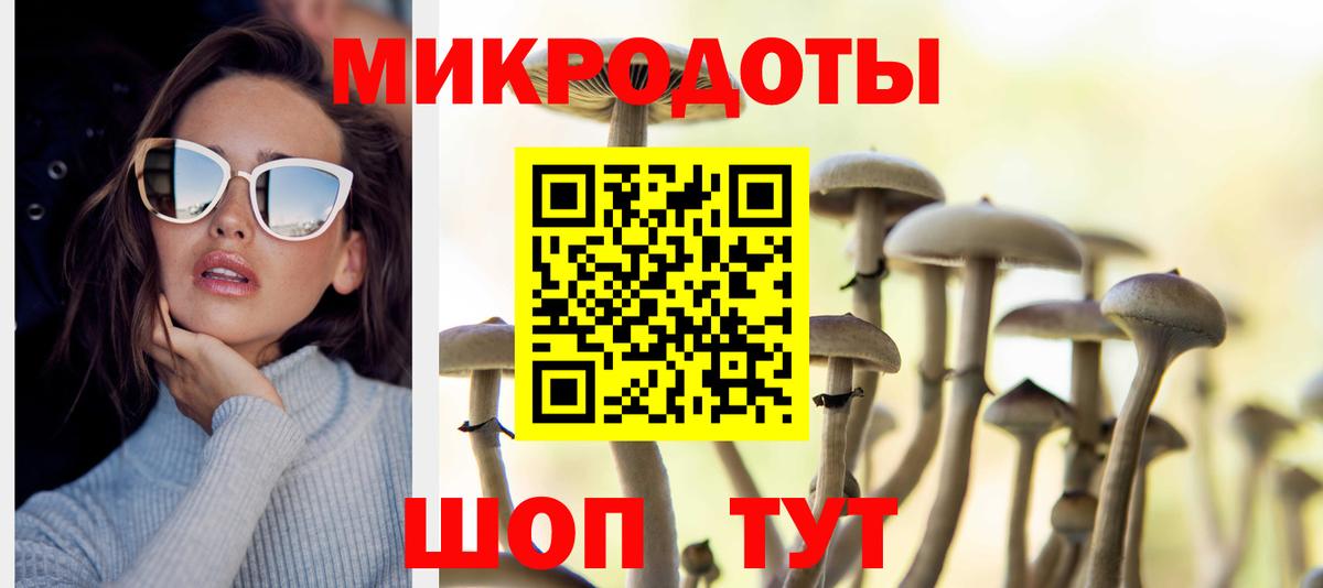 Псилоцибиновые грибы прущие грибы Черняховск