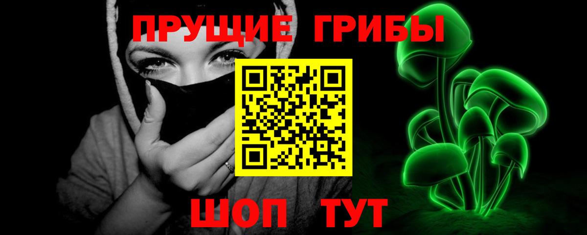 Псилоцибиновые грибы Cubensis  Вход с VPN  где купить   Черняховск 